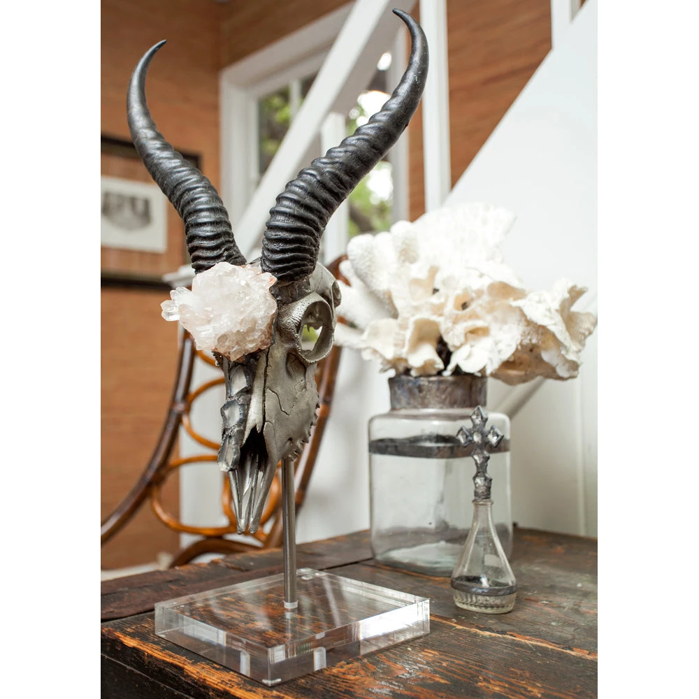 Jamie Dietrich Designs HOME DÉCOR Tasman Stand Mount Springbok 2 Jamie Dietrich Designs HOME DÉCOR Tasman Stand Mount Springbok