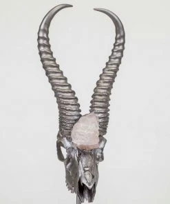 Jamie Dietrich Designs HOME DÉCOR Tasman Stand Mount Springbok