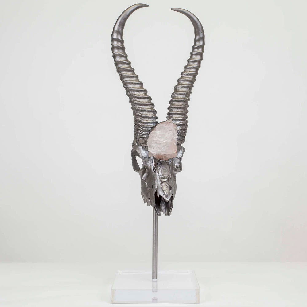 Jamie Dietrich Designs HOME DÉCOR Tasman Stand Mount Springbok 3 Jamie Dietrich Designs HOME DÉCOR Tasman Stand Mount Springbok