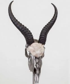 Jamie Dietrich Designs HOME DÉCOR Walken Stand Mount Springbok