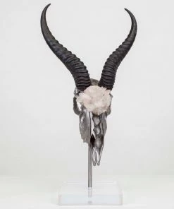 Jamie Dietrich Designs HOME DÉCOR Walken Stand Mount Springbok