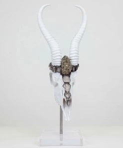 Jamie Dietrich Designs Warrin Stand Mount Springbok HOME DÉCOR