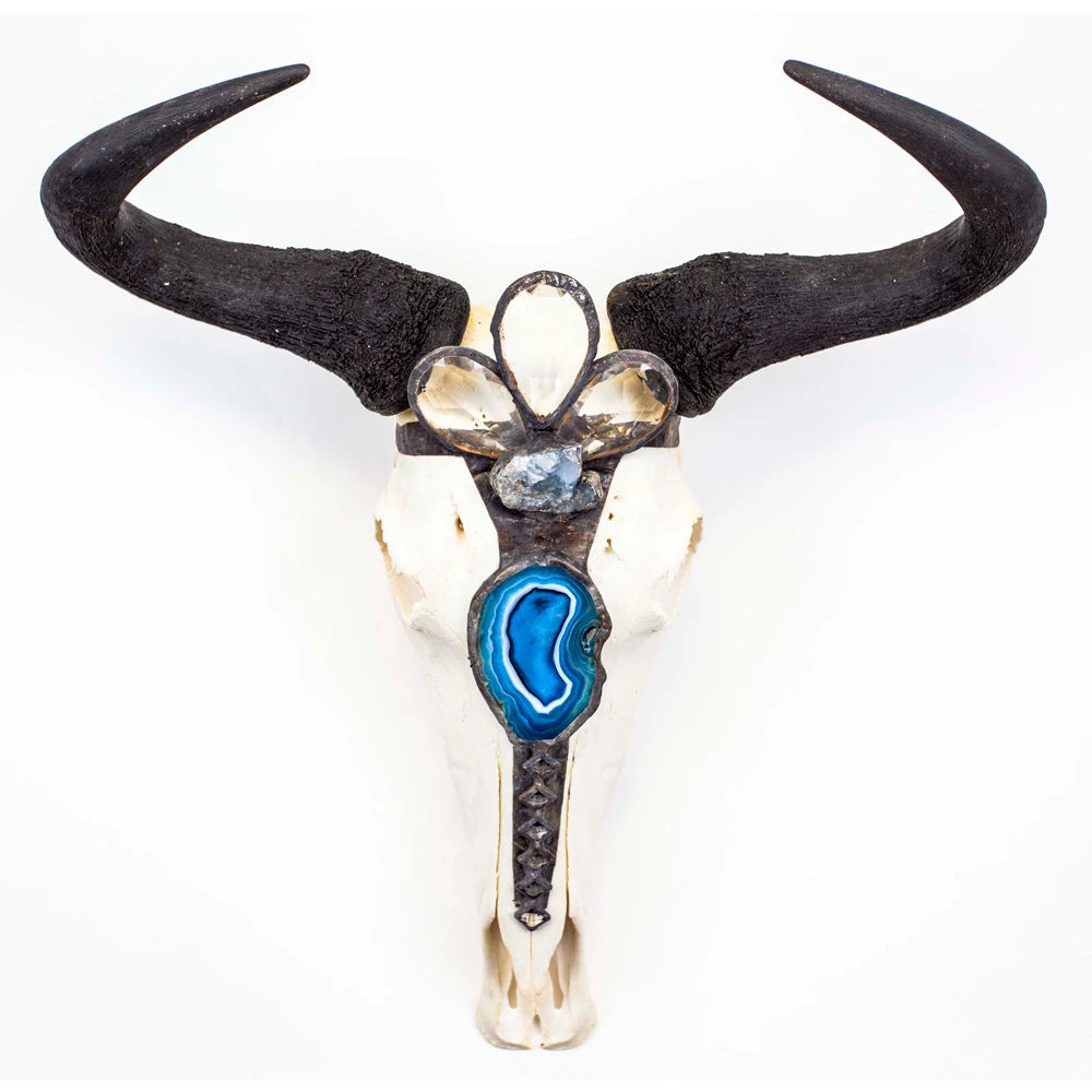 Jamie Dietrich Designs HOME DÉCOR Kahlo Wildebeest 1 Jamie Dietrich Designs HOME DÉCOR Kahlo Wildebeest